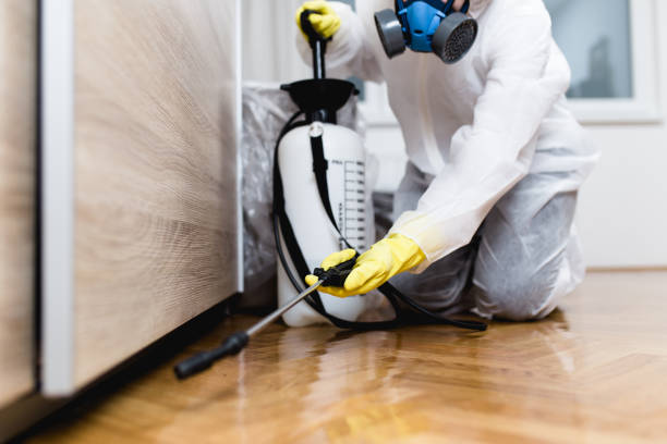 Best Pest Control for Businesses  in USA